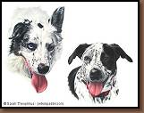 Thelma and Opie - Border Collie Painting