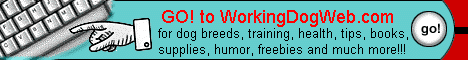 Working Dog Web